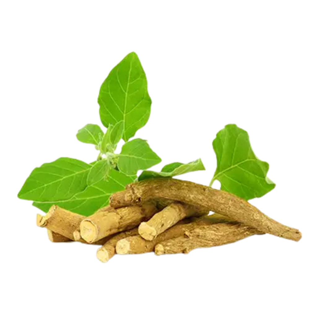 Ashwagandha-Wurzeln und Blätter
