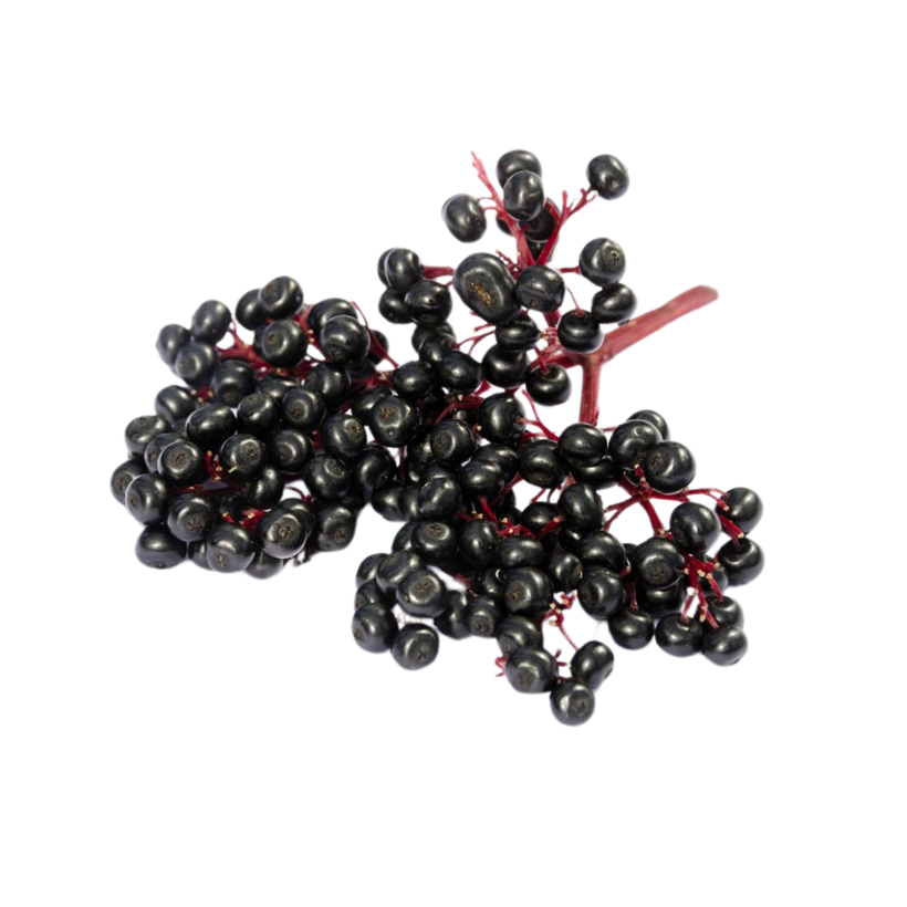 Holunderbeeren