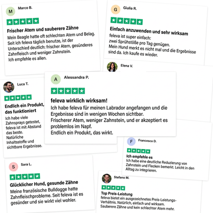 Kundenbewertungen