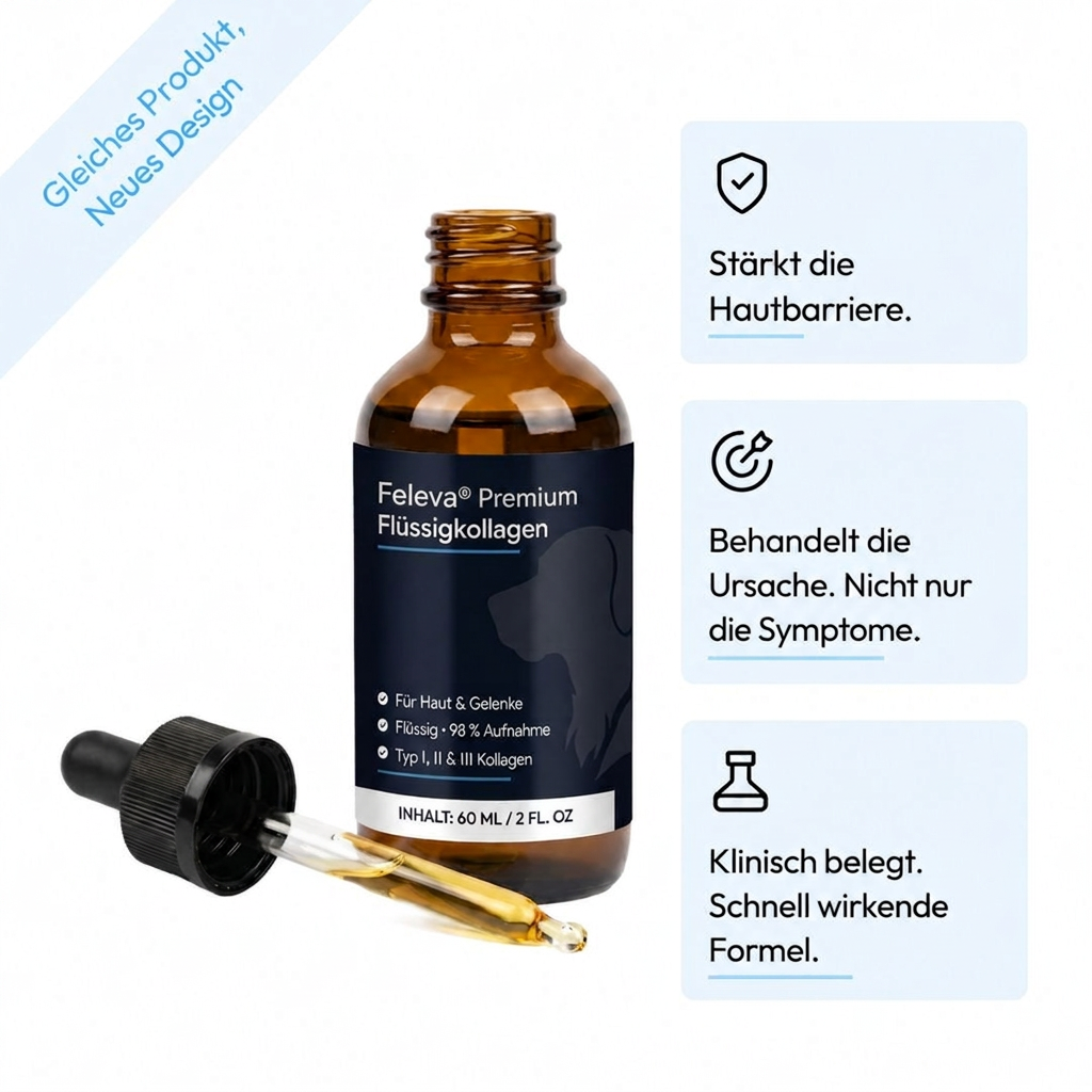 Feleva Premium Flüssig-Kollagen 60 ml