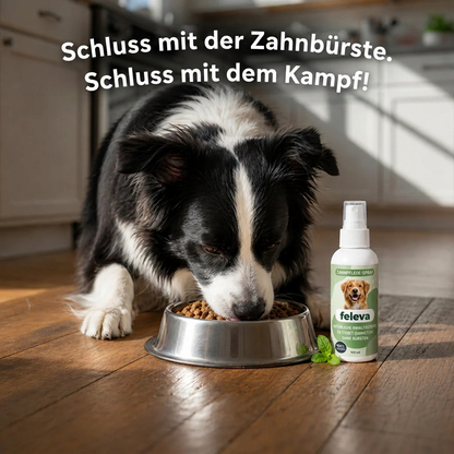 Schluss mit der Zahnbürste