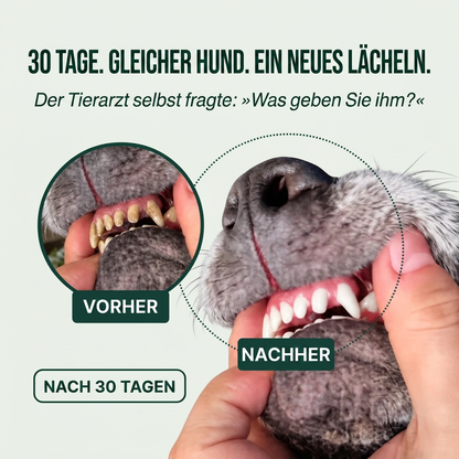 Vorher / Nach 30 Tagen