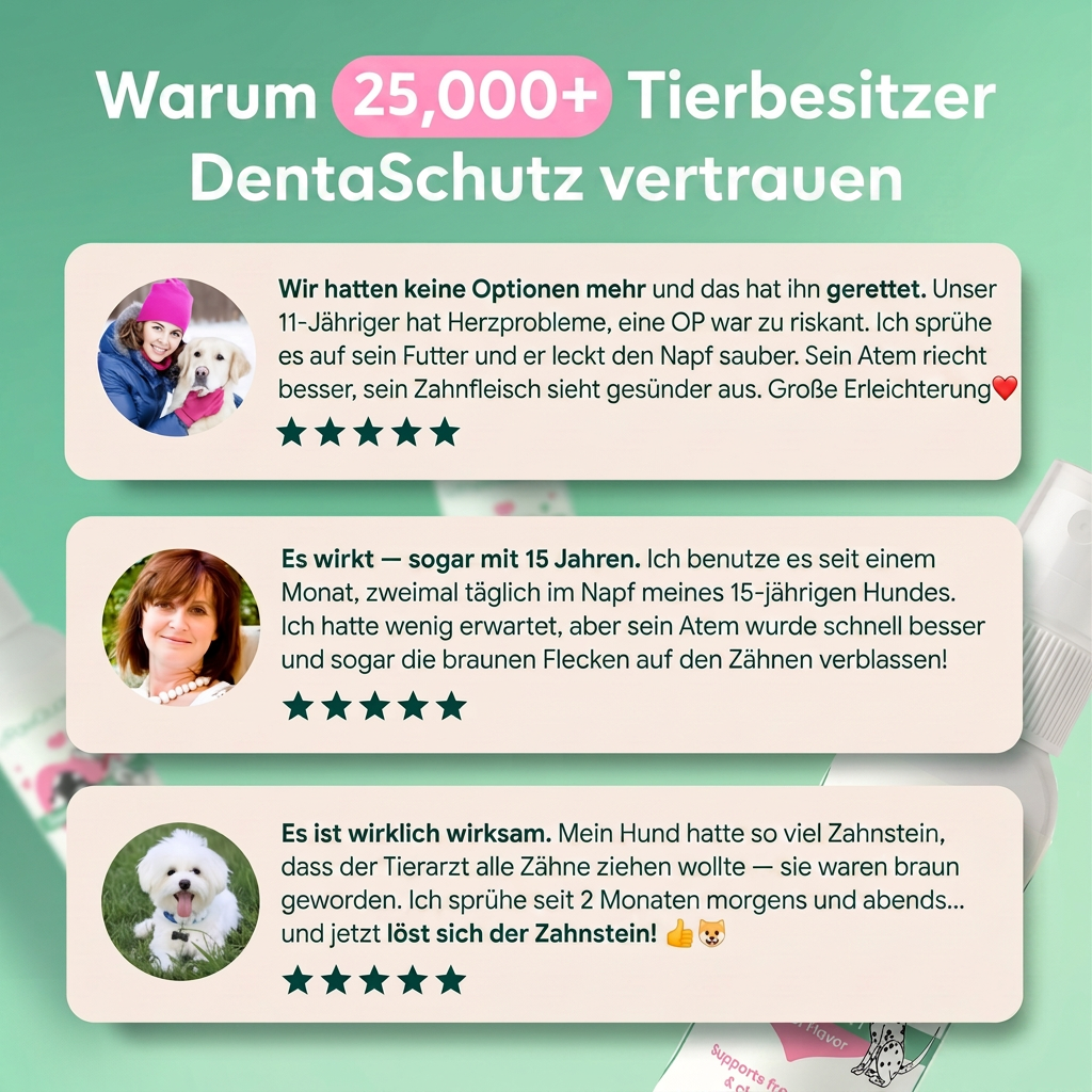 Bewertungen