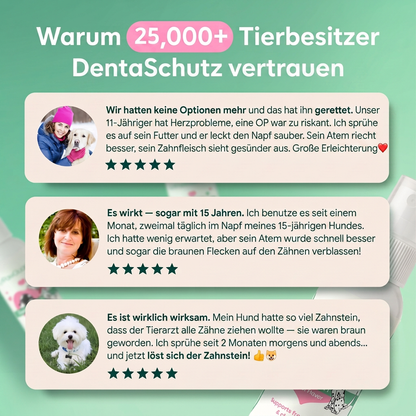 Bewertungen