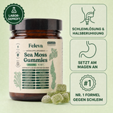 Feleva Sea Moss Gummies – Hero 1