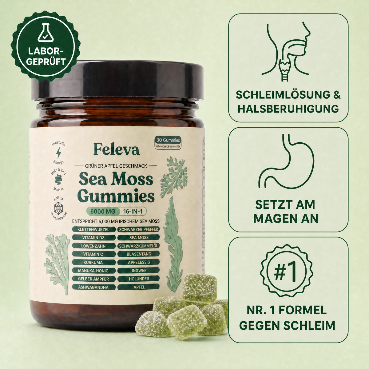 Feleva Sea Moss Gummies – Hero 1