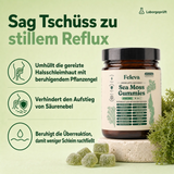 Feleva Sea Moss Gummies – Hero 2