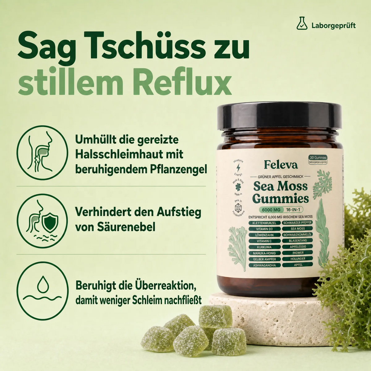 Feleva Sea Moss Gummies – Hero 2