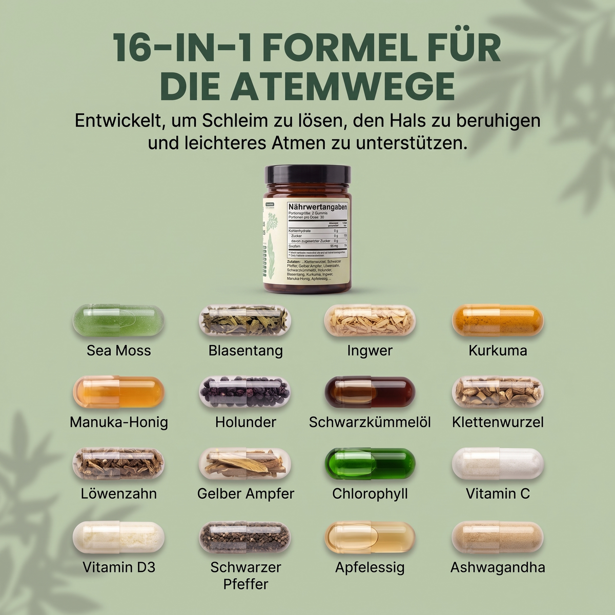 Feleva Sea Moss Gummies – deutsche Produktabbildung