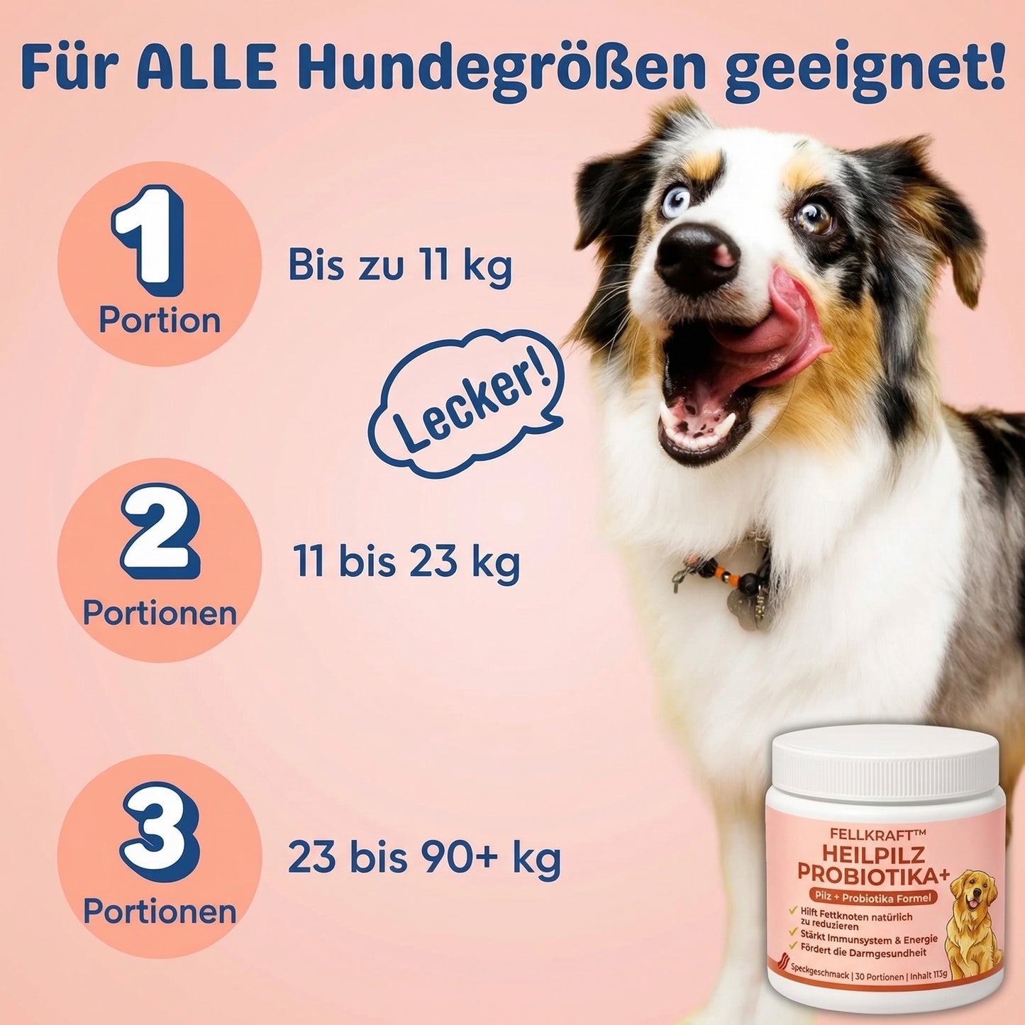Fellkraft® Turkey Tail Heilpilz + Probiotika