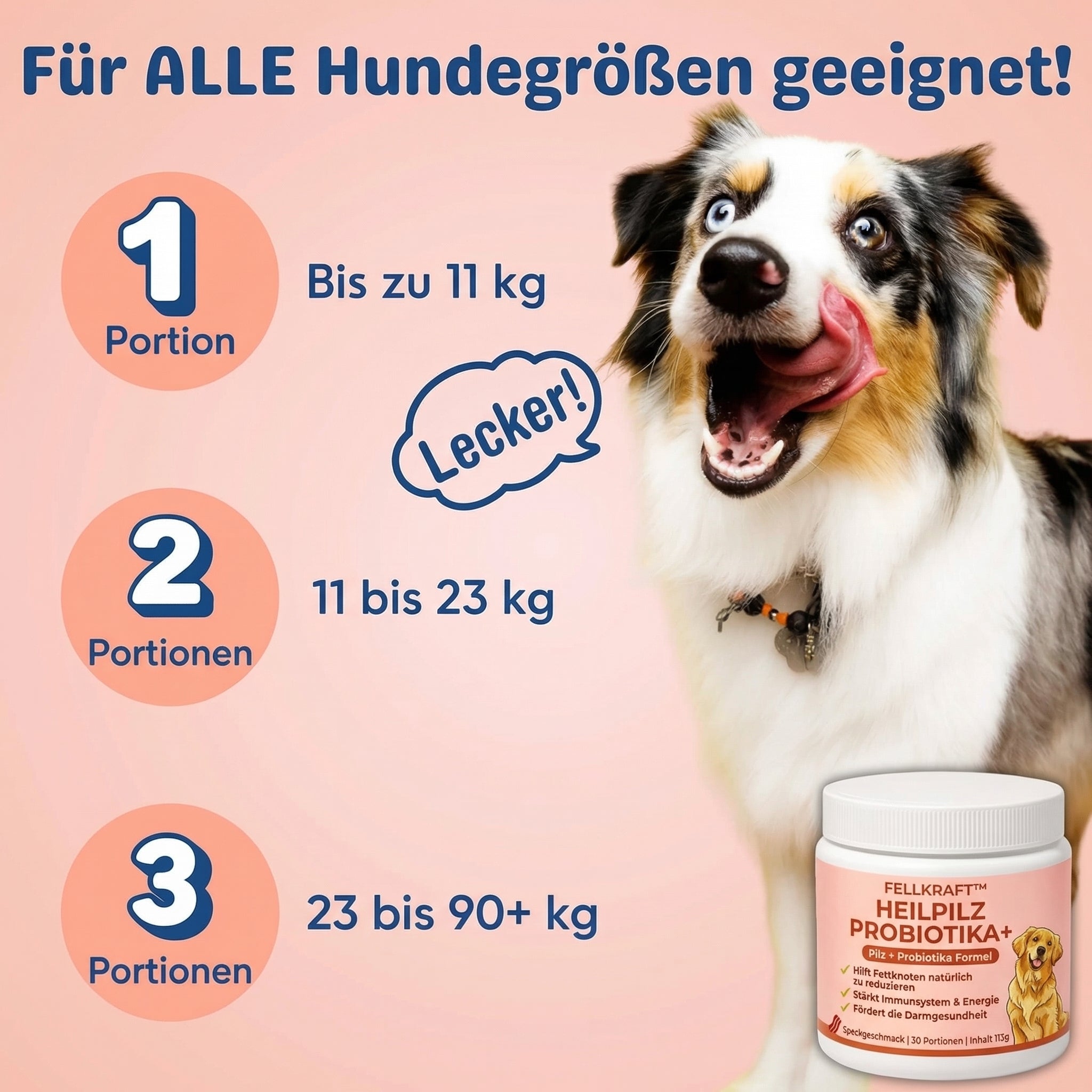 Fellkraft® Turkey Tail Heilpilz + Probiotika