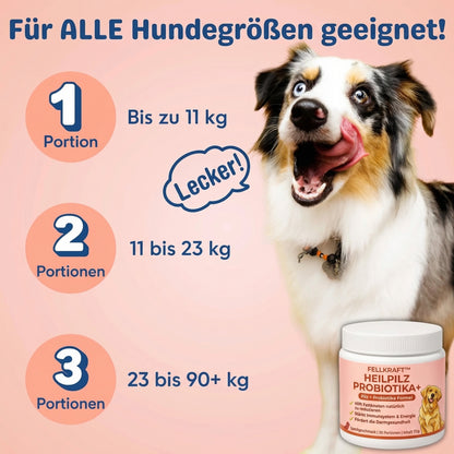 Fellkraft® Turkey Tail Heilpilz + Probiotika