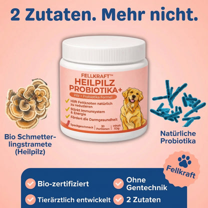 Fellkraft® Turkey Tail Heilpilz + Probiotika