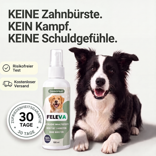 FELEVA® Zahnpflege-Spray für Hunde