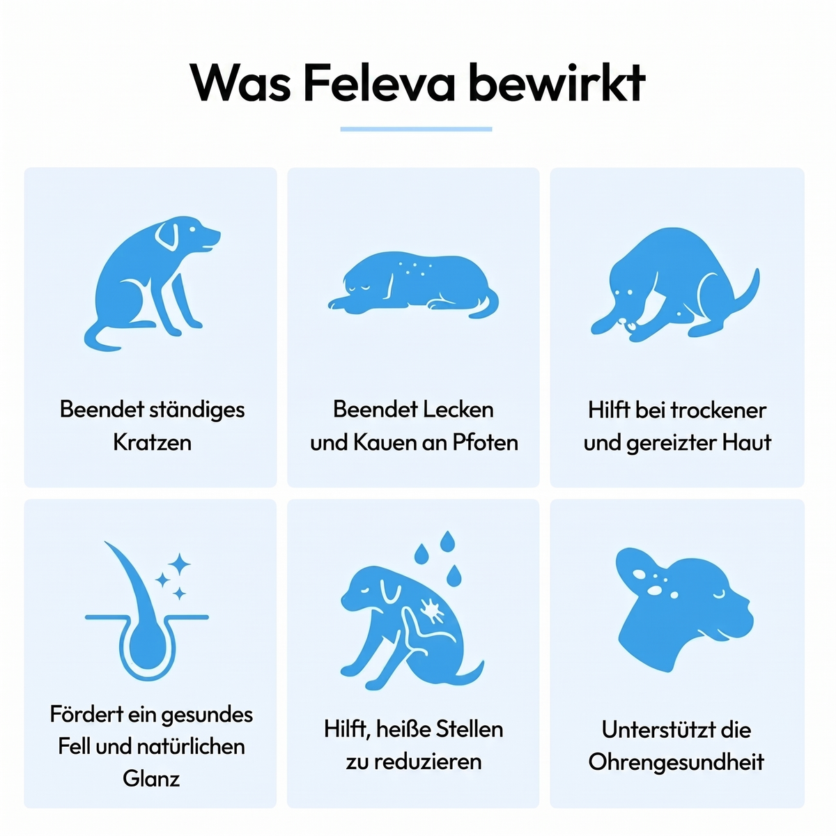 Feleva Premium Flüssig-Kollagen für Hunde