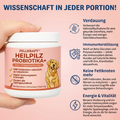 Fellkraft® Turkey Tail Heilpilz + Probiotika