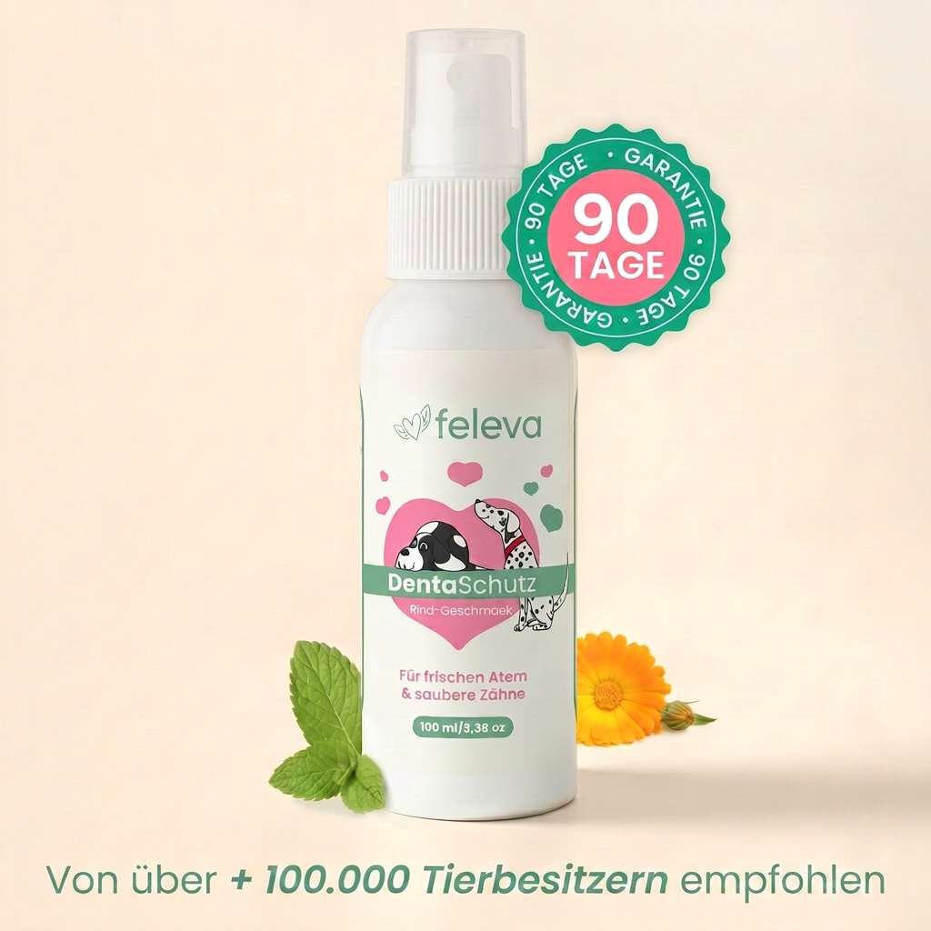 DentaSchutz Flasche