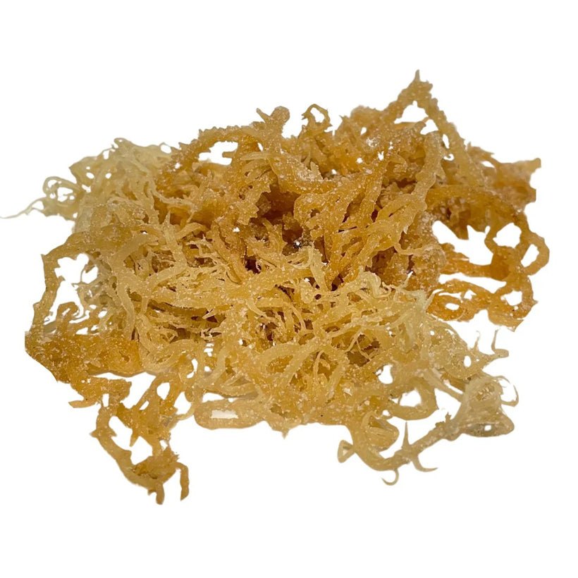 Getrocknetes Sea Moss